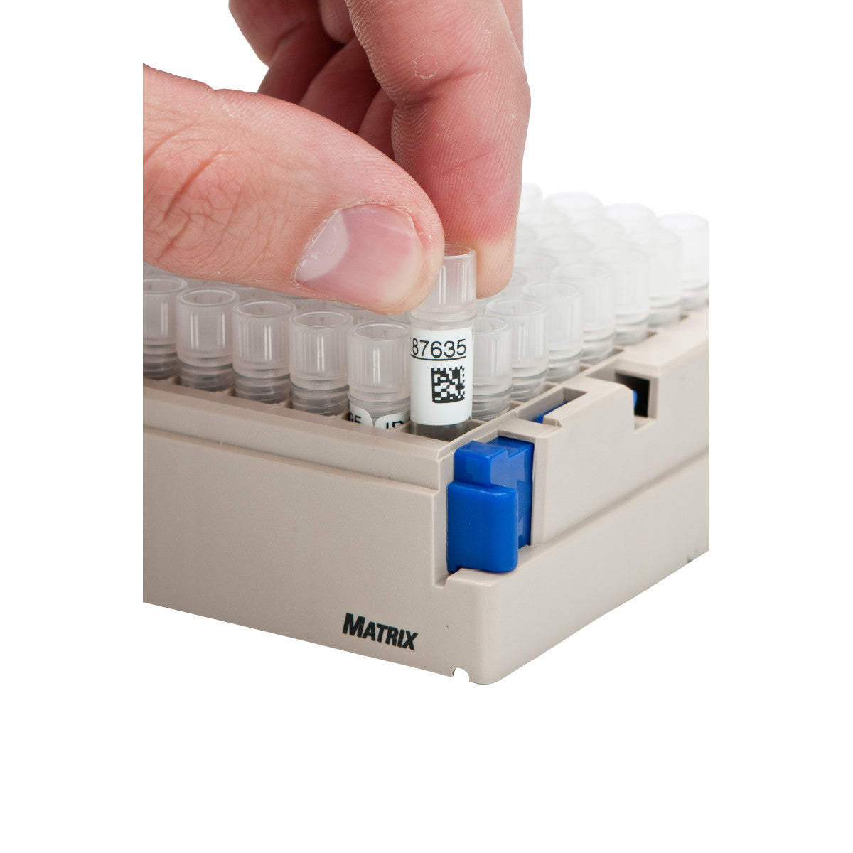 Thermotransfer-Etiketten