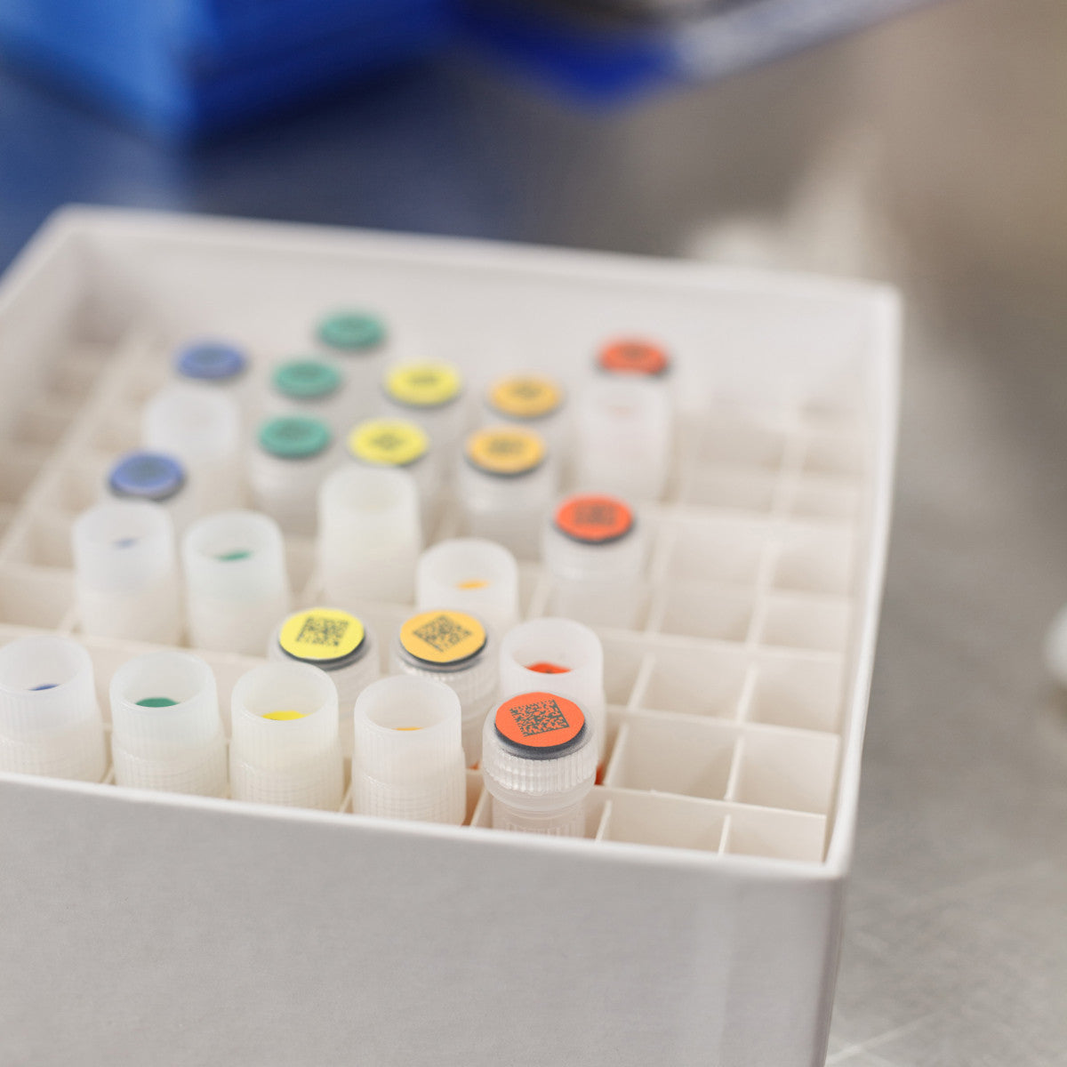 Étiquettes en polypropylène BradyJet J4000