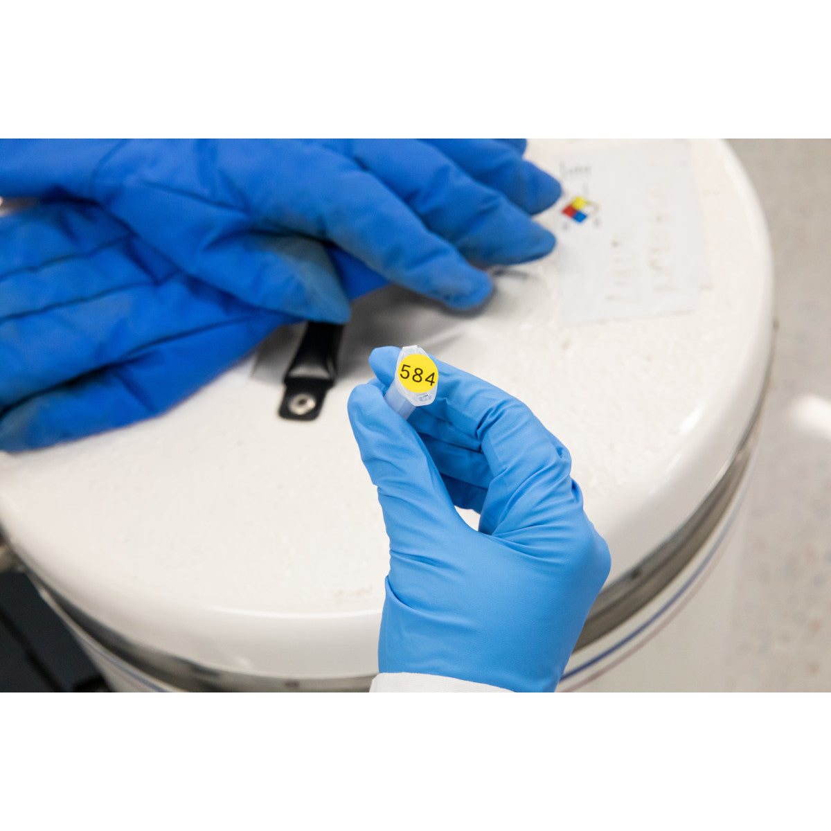 Labels for M410/BMP41/M510/BMP51/M511 label printers