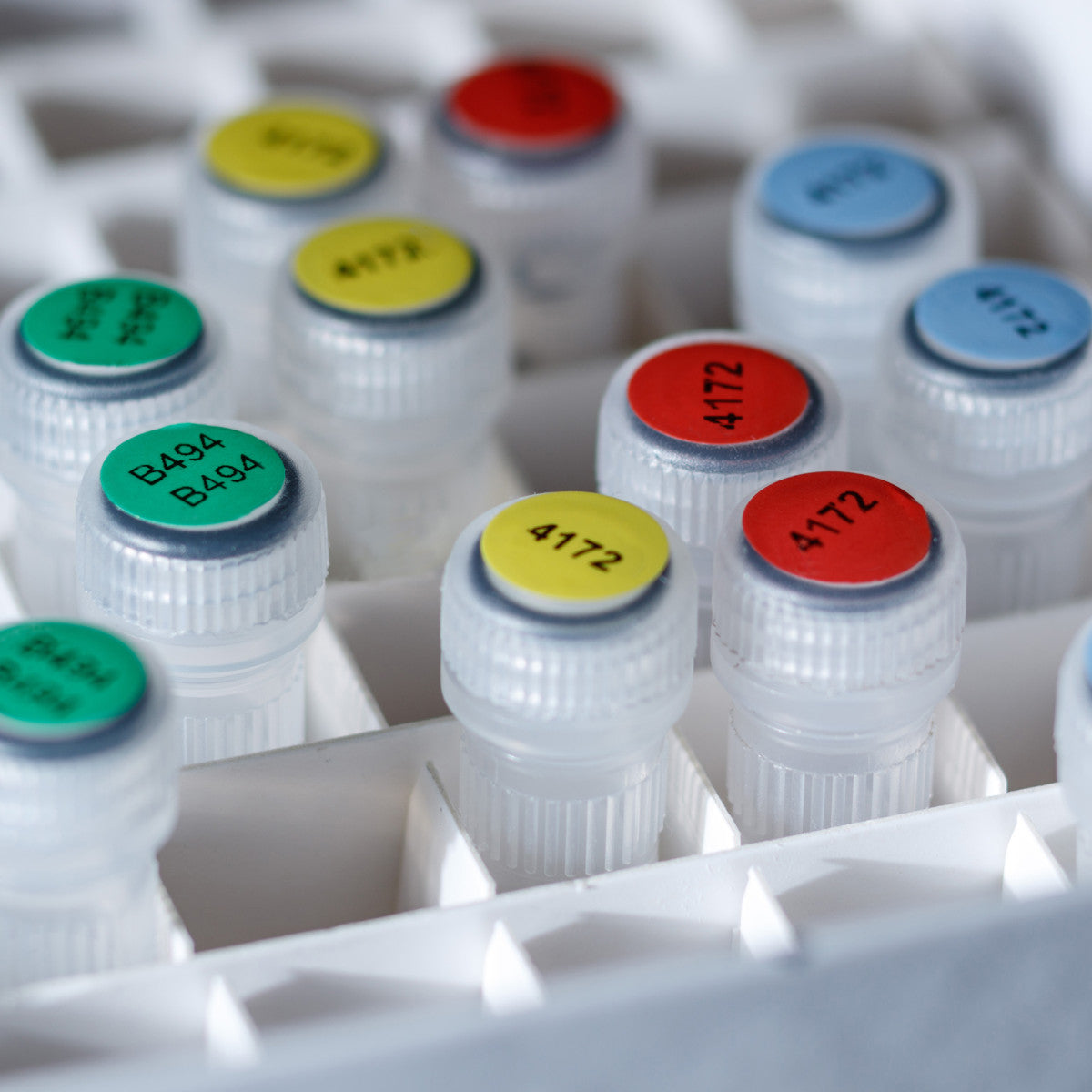 Etiketten für M510/BMP51/M511 Etikettendrucker