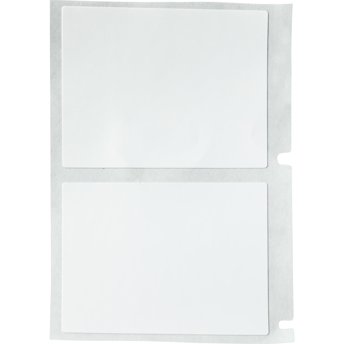 Chemical and temperature resistant polypropylene labels for M610, M611 and BMP61