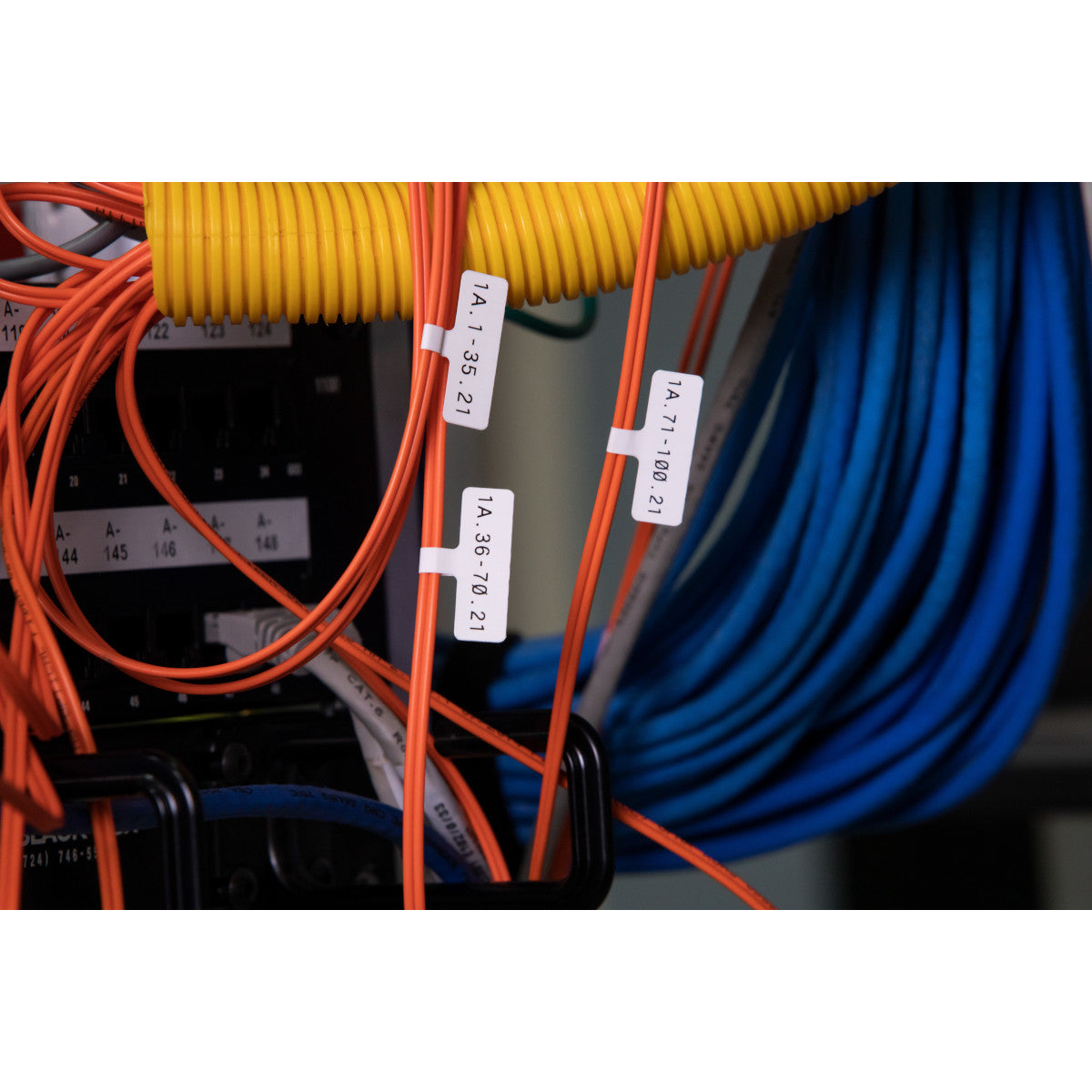 Étiquettes en polypropylène pour M611, M610 et M710