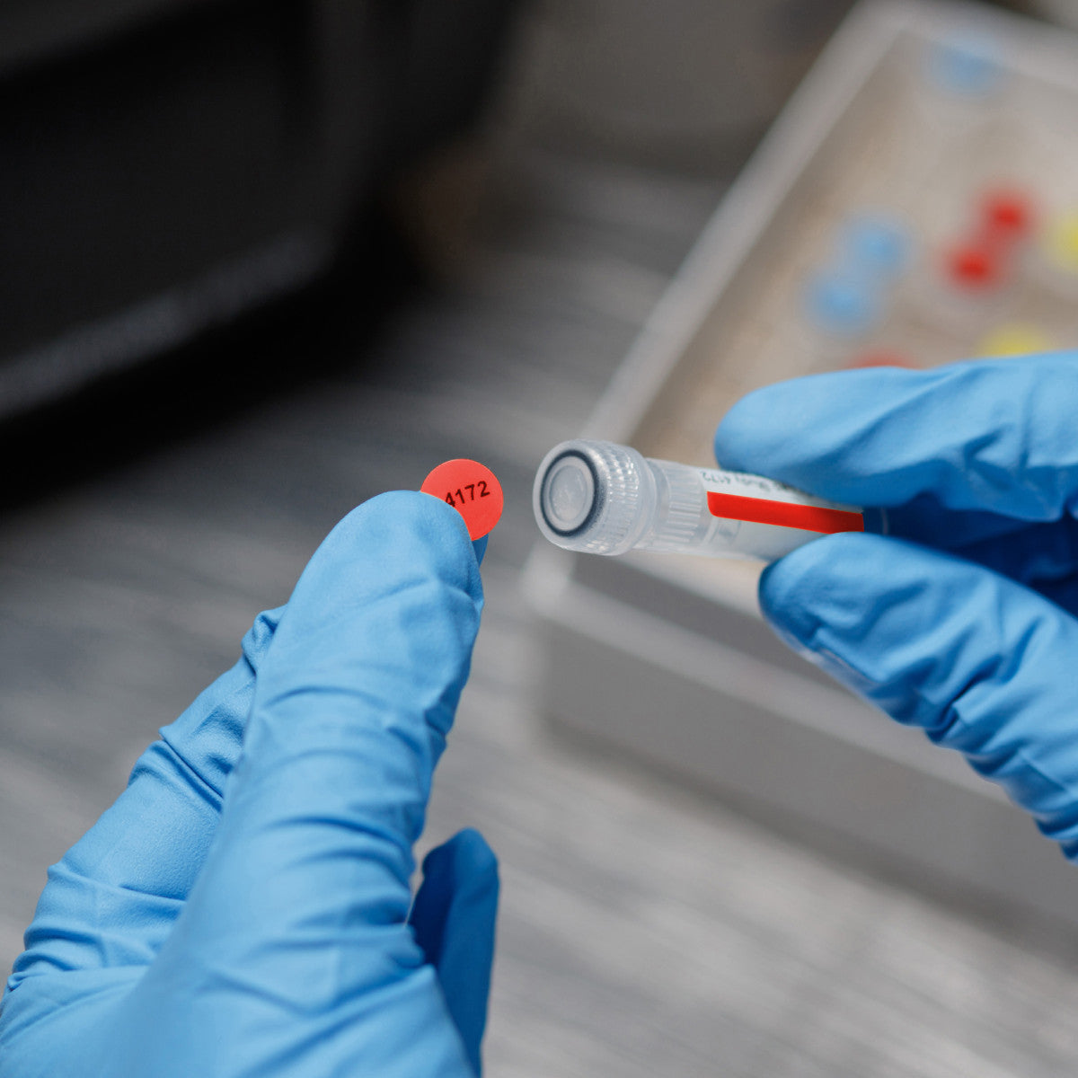 Polypropylen-Etiketten für die Drucker BBP33/i3300