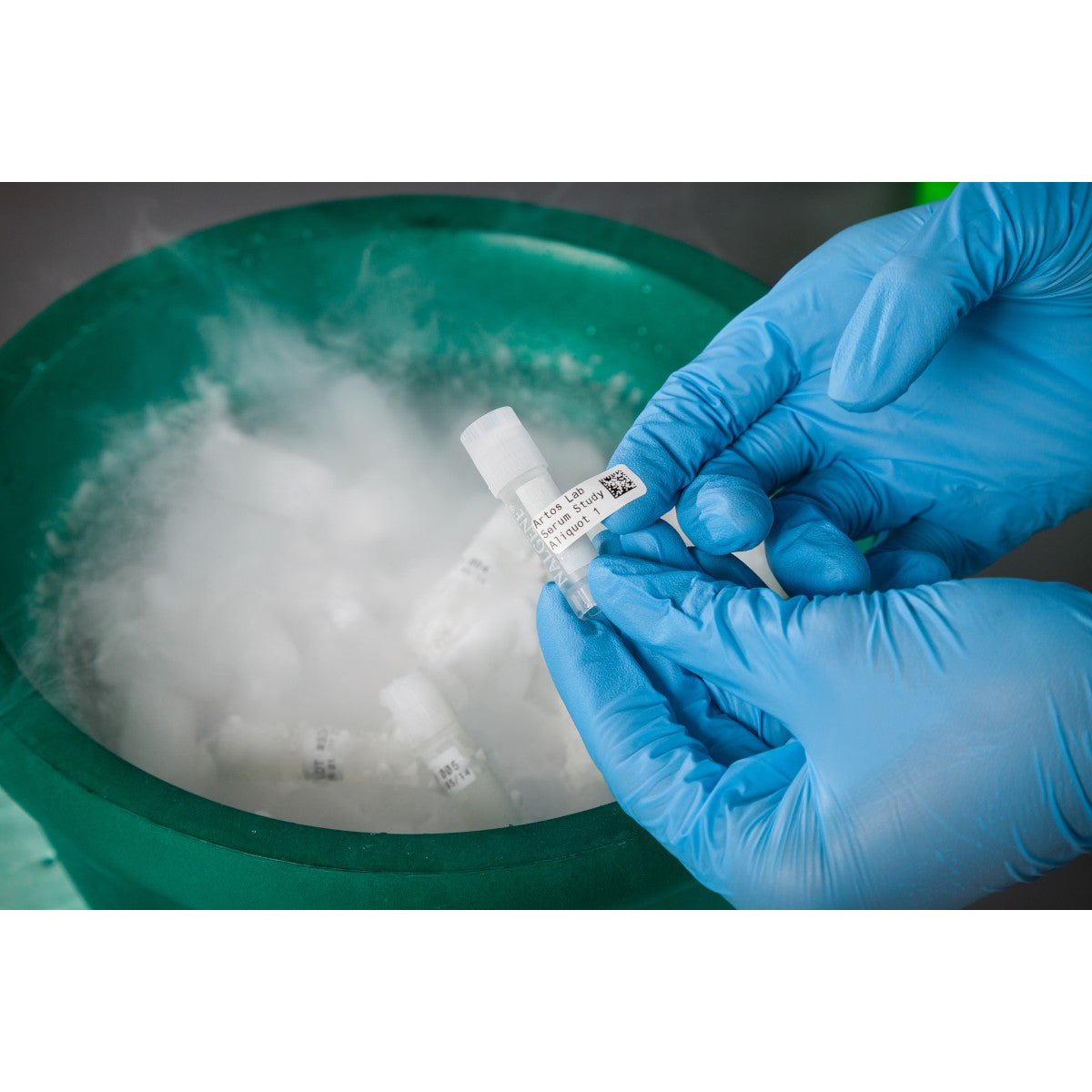 Etiketten für M510/BMP51/M511 Etikettendrucker