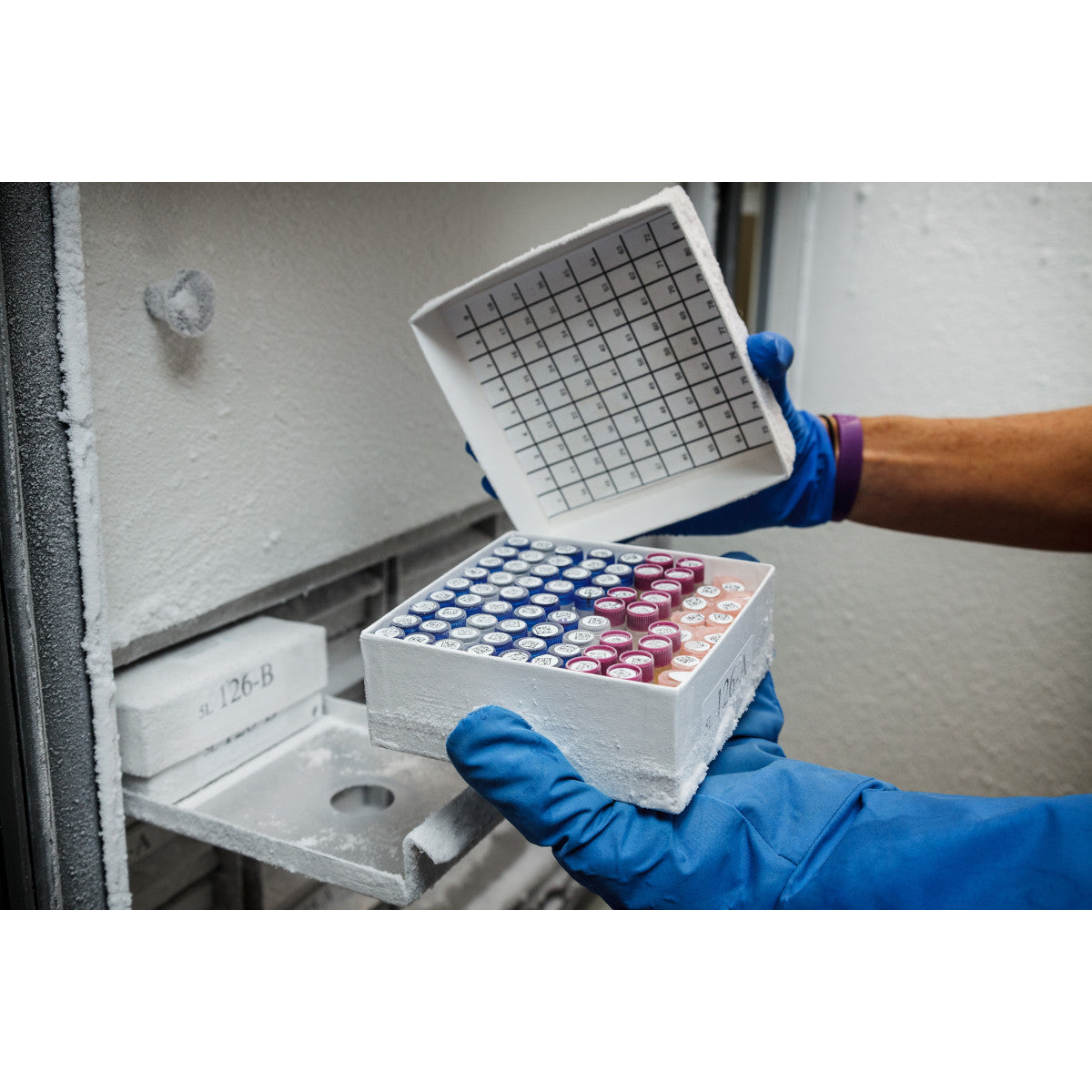 Mehrzweck-Nylonetiketten mit bester Klebkraft für M710 und BMP71