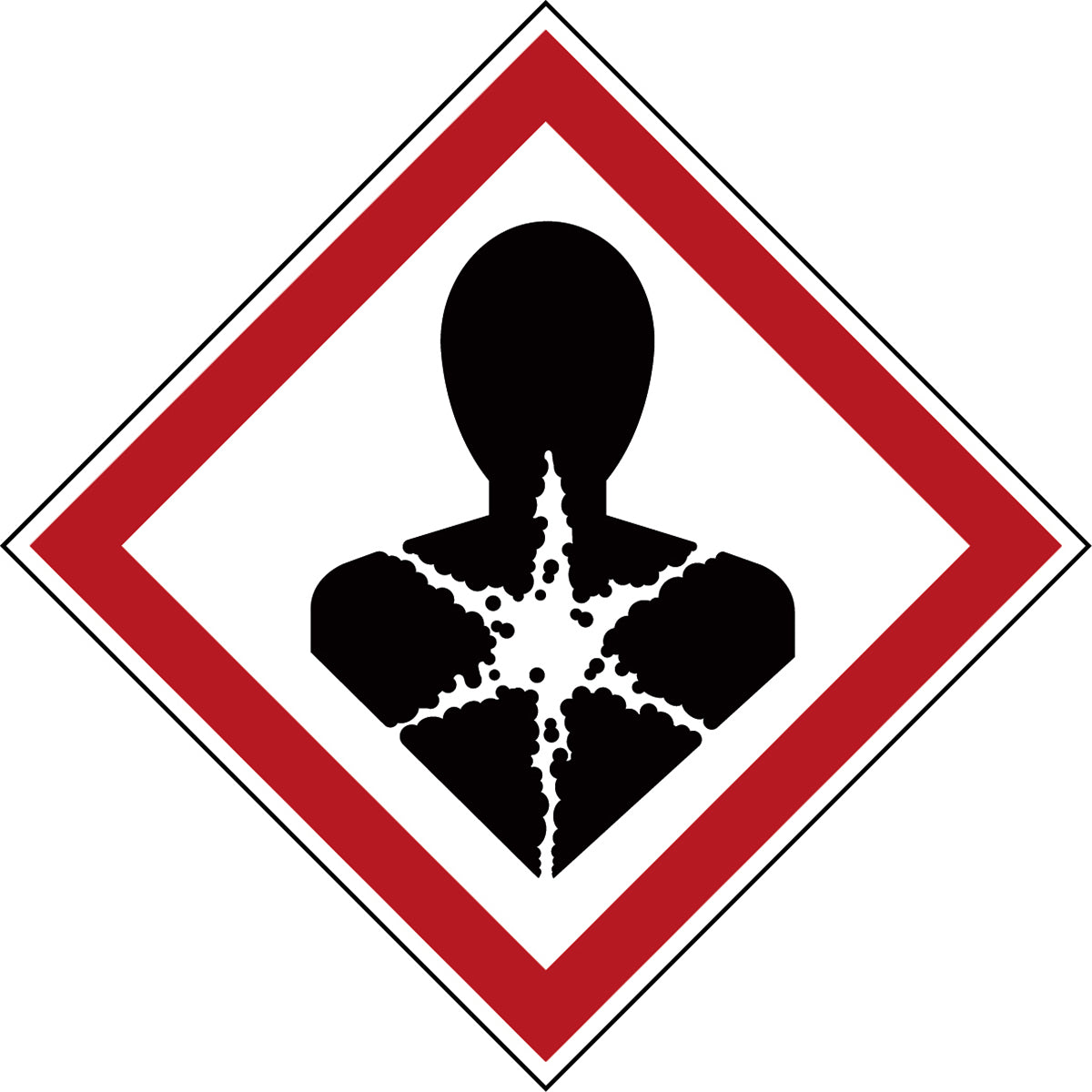 Mini pictograms dangerous goods labeling