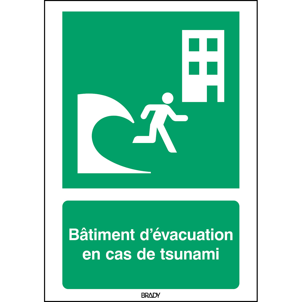 ISO-Sicherheitsschild – Evakuierungsgebäude bei Tsunami