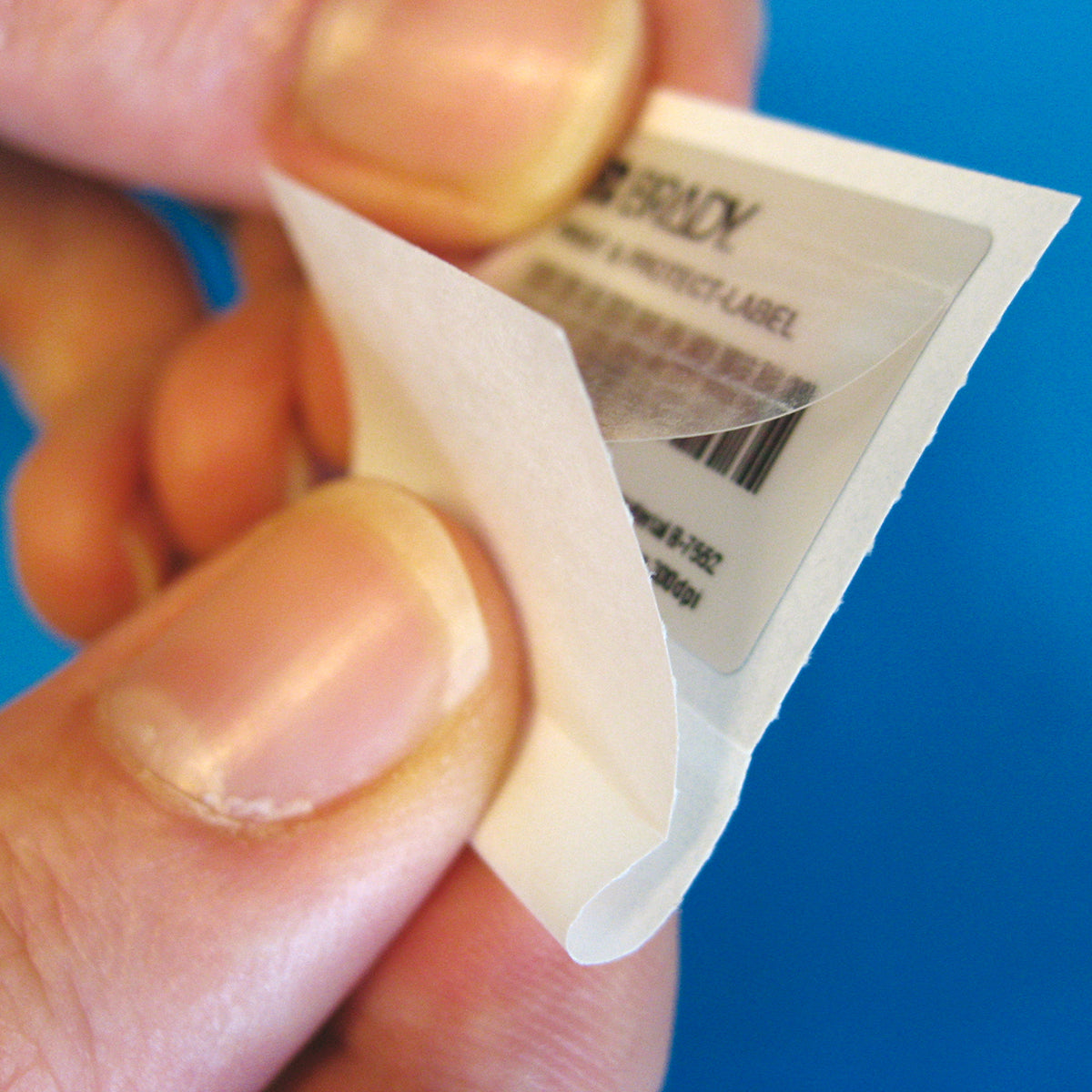 Print-and-protect labels suitable for thermal transfer printers
