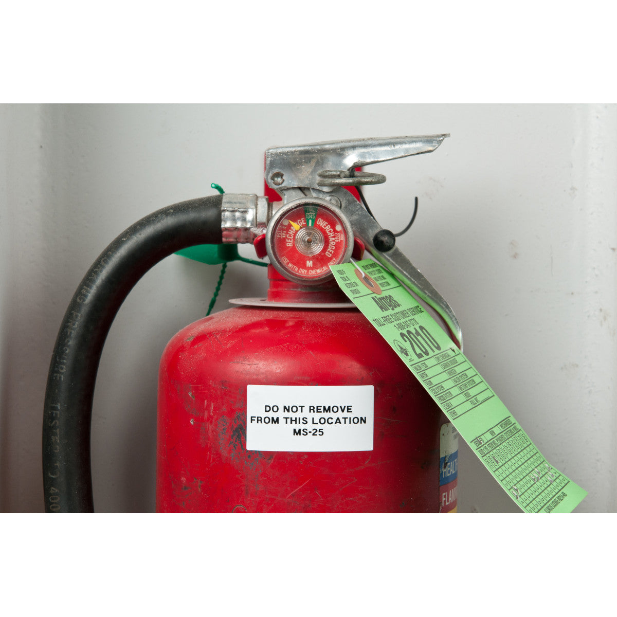 Etiketten für M510/BMP51/M511 Etikettendrucker