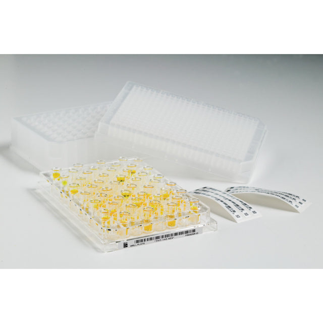 Für den Thermotransferdruck geeignete Etiketten