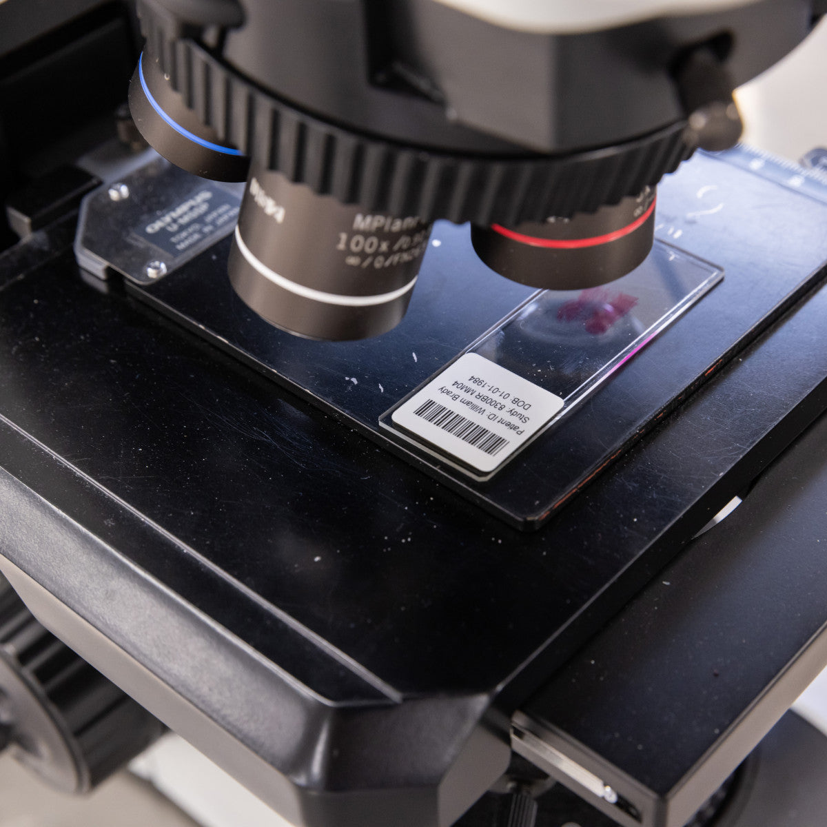 B33 Series voltage-dissipating and glossy polyimide labels
