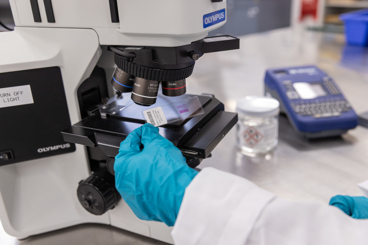 M510 Etikettendrucker EU + Brady Workstation-Suite