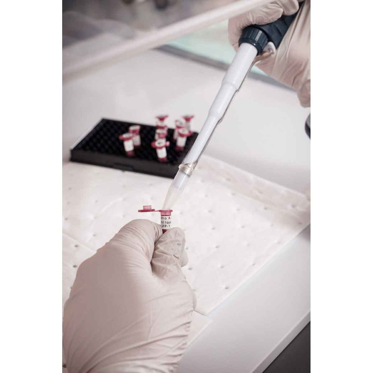 Für den Thermotransferdruck geeignete Etiketten