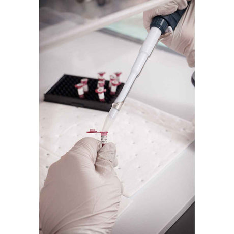 Für den Thermotransferdruck geeignete Etiketten