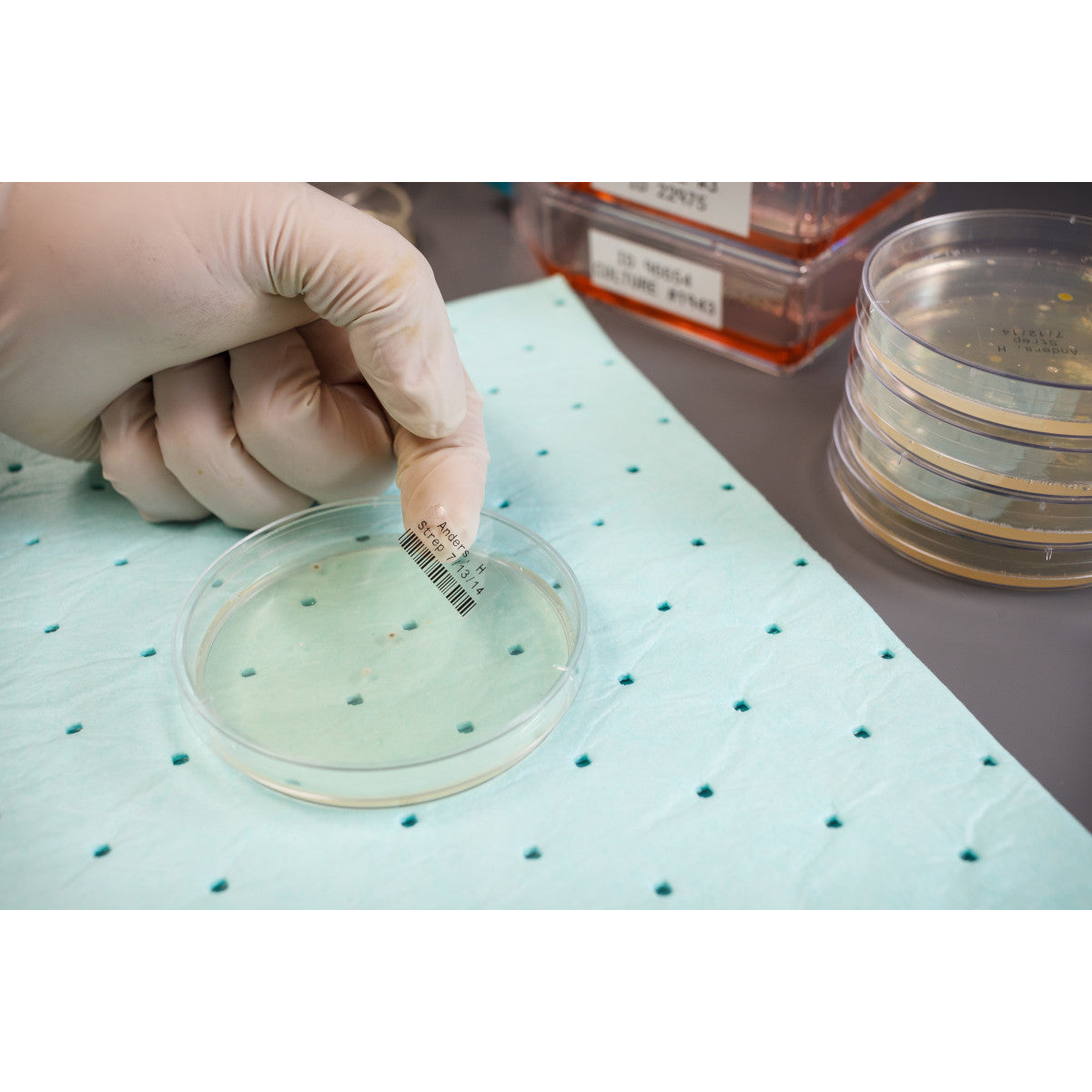 Für raue Umgebungen geeignete Mehrzweck-Etiketten aus transparentem Polyester für M610, M611, BMP61, M710 (mit Medienadapter) und BMP71 (mit Medienadapter)