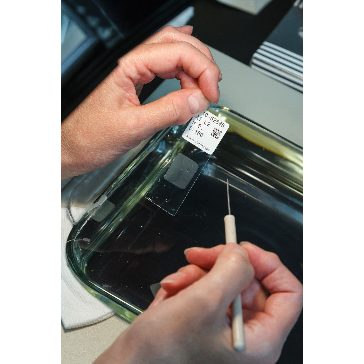 Labels suitable for thermal transfer printing