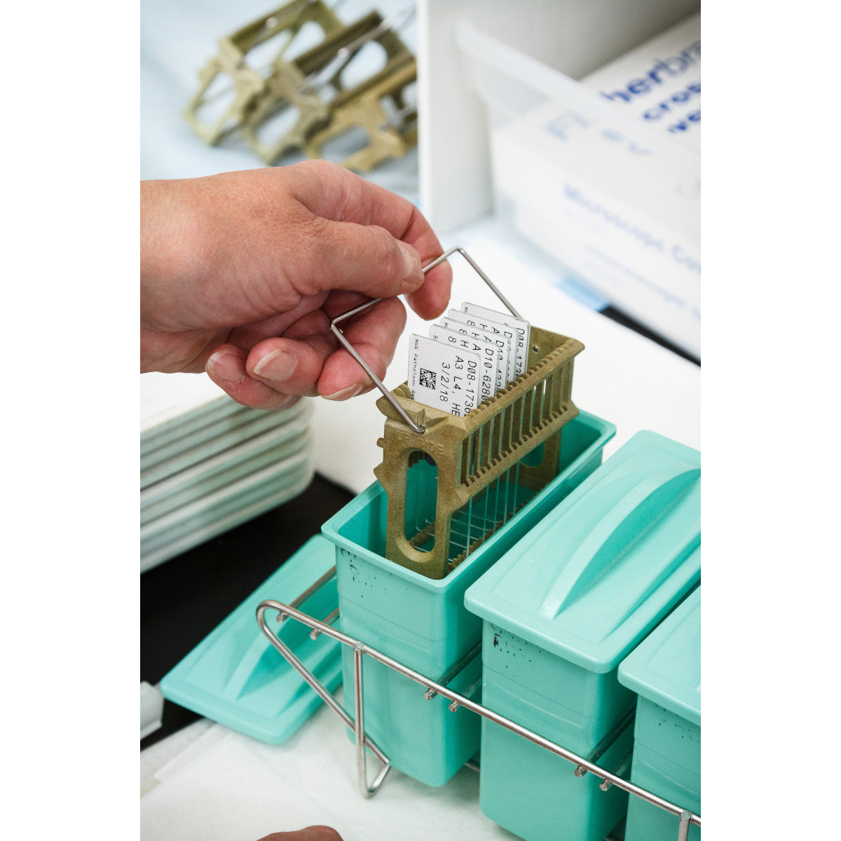 Labels suitable for thermal transfer printing