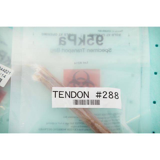 Für den Thermotransferdruck geeignete Etiketten