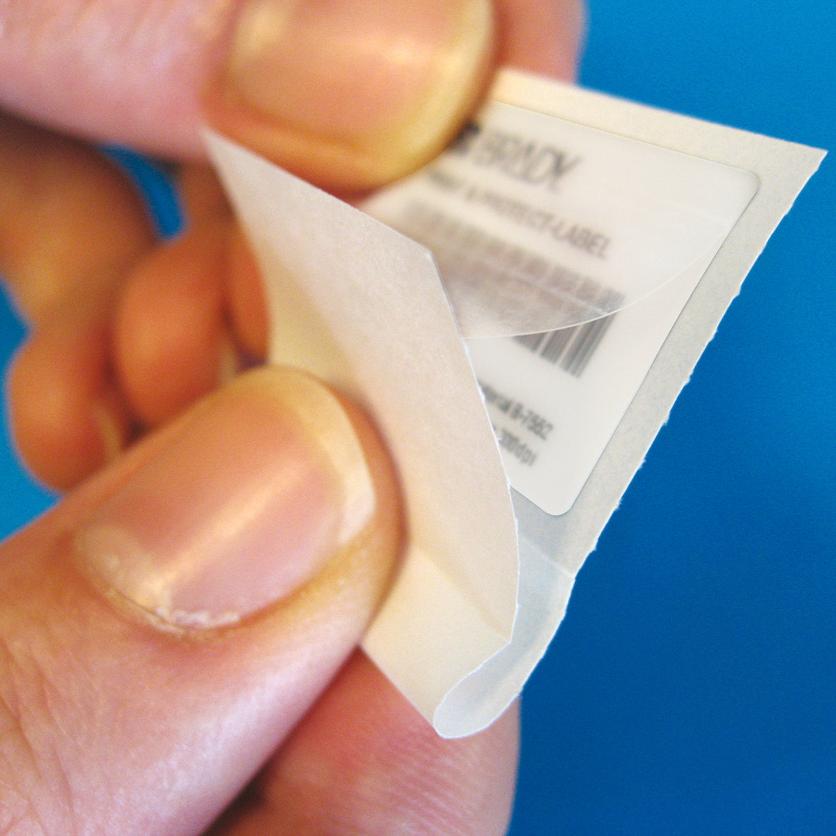 Print-and-protect labels suitable for thermal transfer printers