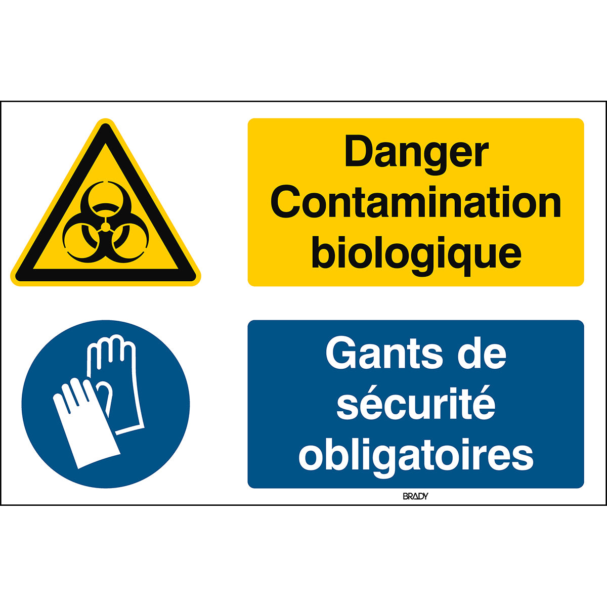 Warnung; Biogefährdung und Schutzhandschuhe benutzen – ISO 7010