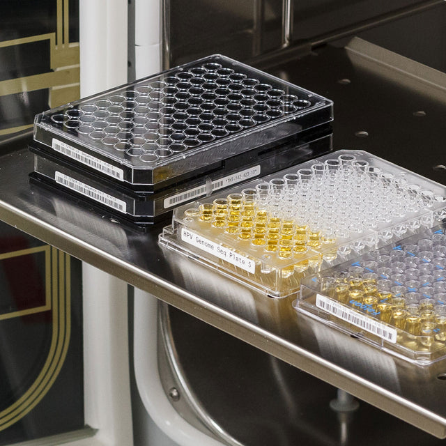 Nylongewebe-Etiketten für die Drucker BBP33/i3300